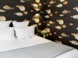Comfort Suite
