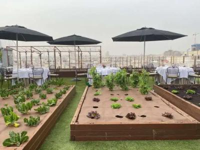 Wellington & Spa Madrid - 26