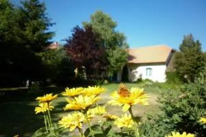 Guest House «Vadviragos Pihenohely», Morahalom