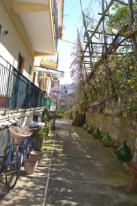 Sorrento Experience - 25