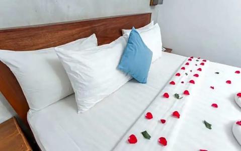 Home Chic - 215
