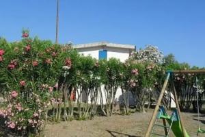 Campeggio Lao, Scalea