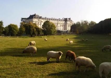 Waldorf Astoria Versailles - Trianon Palace - 149