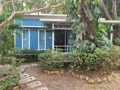 Rayonghouse Resort - 145