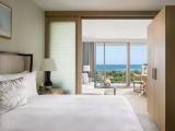 1 Bedroom Deluxe Suite with partial ocean view
