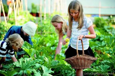 Grecotel Creta Palace - 30