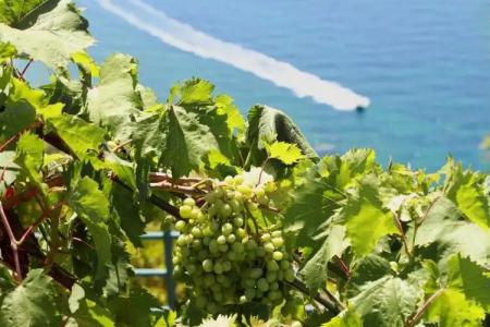 Lighthouse Apartments - 26