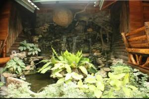 Magmai Homestay, Tak