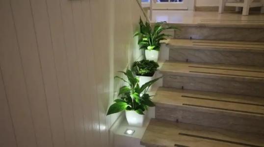 Belvedere Spiaggia - 14