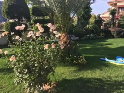 Asur & Aparts & Villas - 176