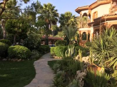 Asur & Aparts & Villas - 139