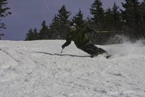 Inn at Snowshoe, Snowshoe