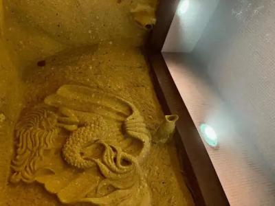 Wish Cappadocia - 174