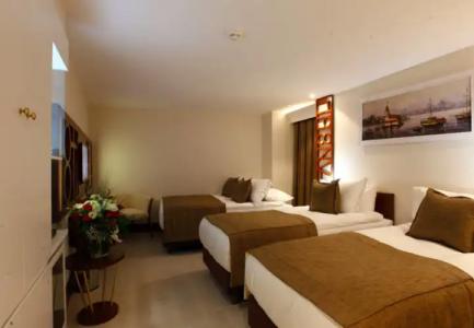 Victory & Spa Istanbul - 111
