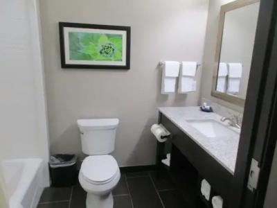 Best Western Plus Tech Medical Center Inn - 79