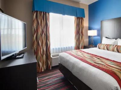 Best Western Plus Tech Medical Center Inn - 86