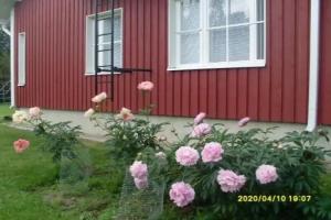 Aaria Bed and Breakfast, Rovaniemi