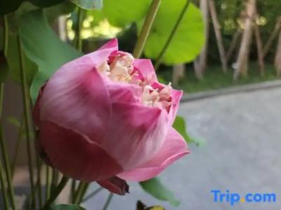 Hyde Park Chiangmai - 54