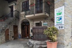 Agriturismo Il Vecchio Torchio Farm, Branchi