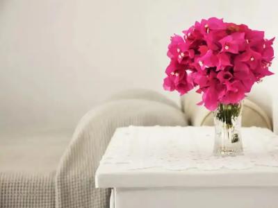 Bungalows Marina - 113