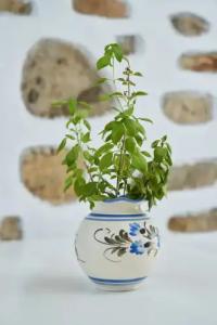 Bungalows Marina - 80