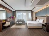 Business Executive Premium Double room