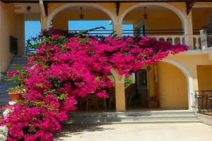 Zante 523, Laganas