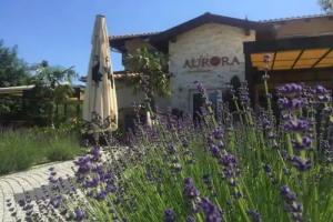 Aurora Panzió Hotel