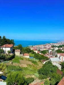 Mehmet Efendi Mansion & - 48