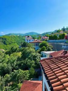 Mehmet Efendi Mansion & - 43