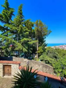 Mehmet Efendi Mansion & - 47