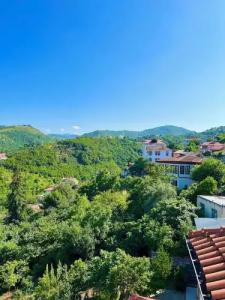 Mehmet Efendi Mansion & - 45