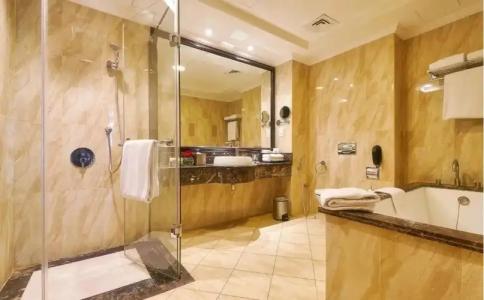 Bahi Ajman Palace - 116