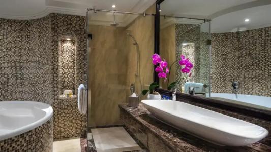 Bahi Ajman Palace - 107