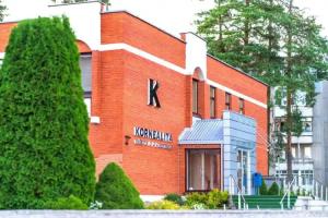Kornealita, Visaginas