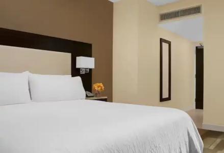 Hilton Garden Inn New York - Times Square Central - 29