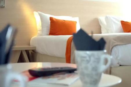 Kyriad Prestige Vannes Centre-Palais des Arts - 58