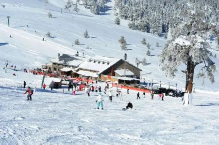 Kaya Palazzo Ski & Mountain Resort - 9