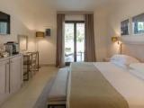 Superior Plus Double room
