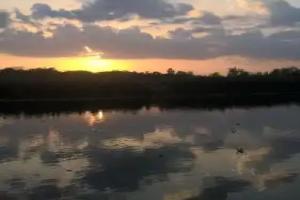 Tharu Lodge, Sauraha