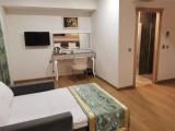 Standard Family Basement room