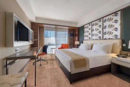 Holiday Inn Kayseri - Duvenonu, an IHG - 5