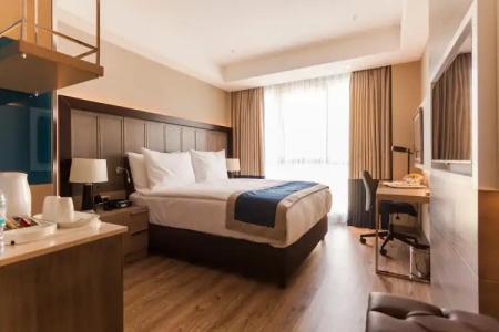 Holiday Inn Kayseri - Duvenonu, an IHG - 4