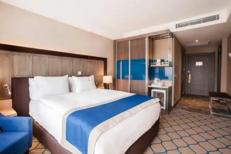 Holiday Inn Kayseri - Duvenonu, an IHG - 11
