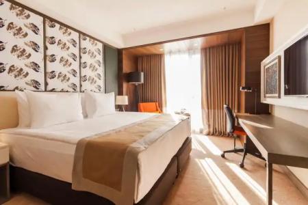Holiday Inn Kayseri - Duvenonu, an IHG - 30