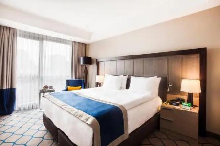 Holiday Inn Kayseri - Duvenonu, an IHG - 28