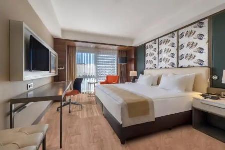 Holiday Inn Kayseri - Duvenonu, an IHG - 42