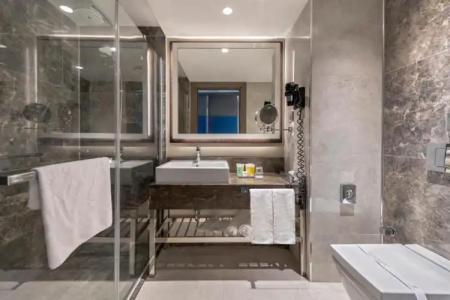 Holiday Inn Kayseri - Duvenonu, an IHG - 41