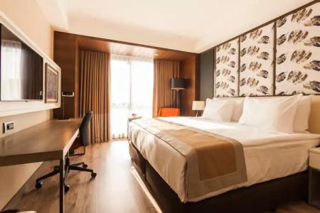 Holiday Inn Kayseri - Duvenonu, an IHG - 27