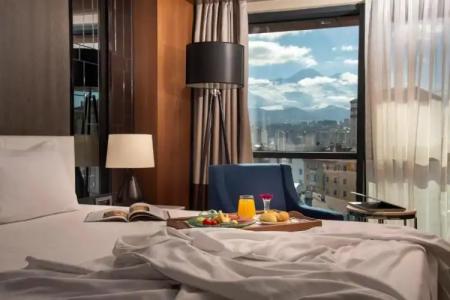 Holiday Inn Kayseri - Duvenonu, an IHG - 43